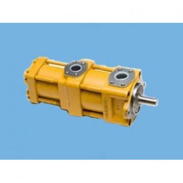 QT2323-6.3-6.3MN-S1162-A Heißer verkauf pumpe