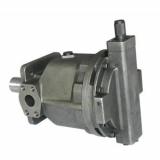 V8A1RX-20S2 Hydraulische Pumpe