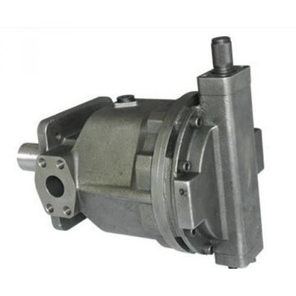 AR22-FR01C-20T Hydraulische Pumpe #3 image